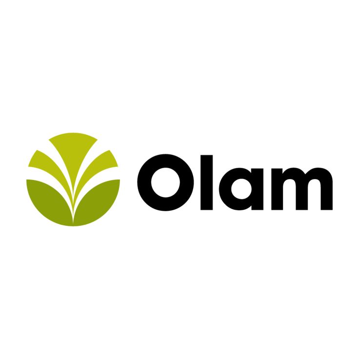 Olam
